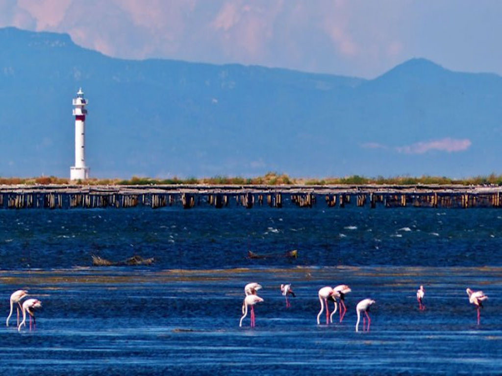Pesca en el Delta del Ebro — Temporadas de captura y métodos de pesca más efectivos