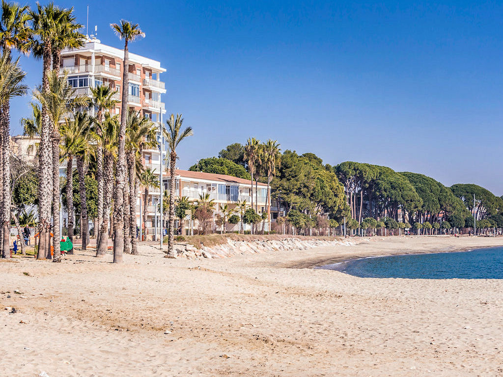 cambrilla costa dorada 1