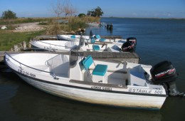 Bateau Estable avec moteur 40/60 CV