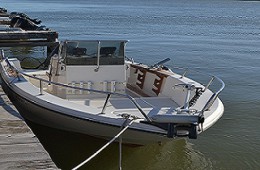 Bateau Rio 600 avec moteur 125 CV