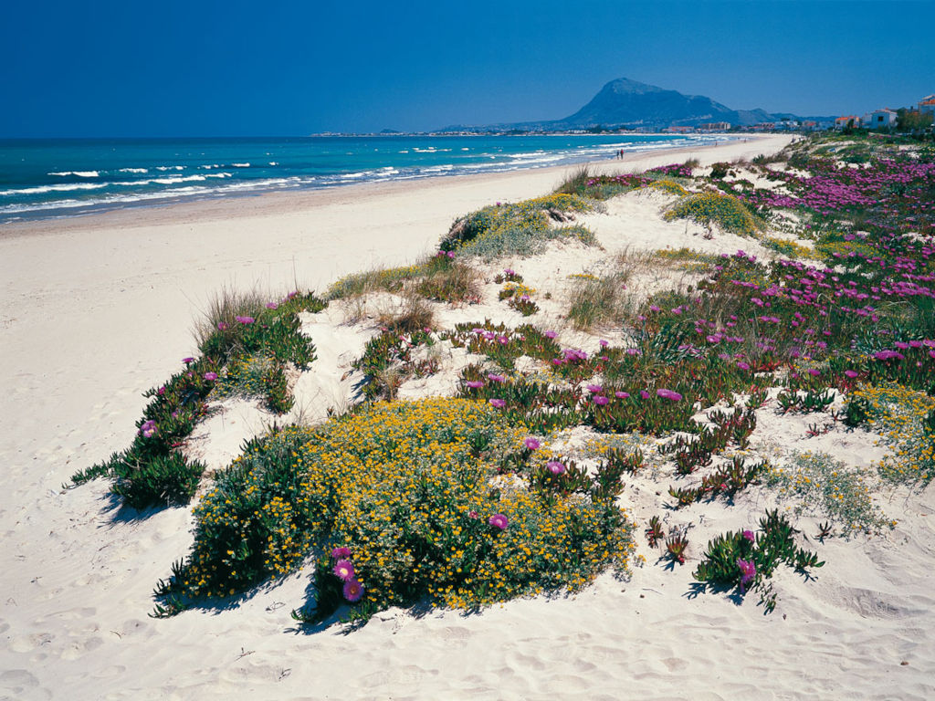 Familienurlaub in Dénia an der Costa Blanca