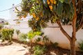 Bungalow con piscina en la Costa del Sol