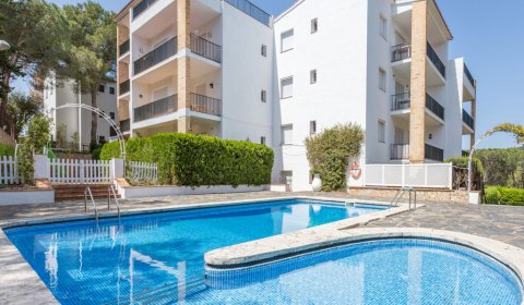 PA 146/3 Strandnahe moderne Ferienwohnung für 6 Personen mit Schwimmbad in Llafranc an der Costa Brava